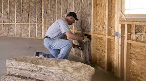 Best Wall Insulation Installation  in Minonk, IL