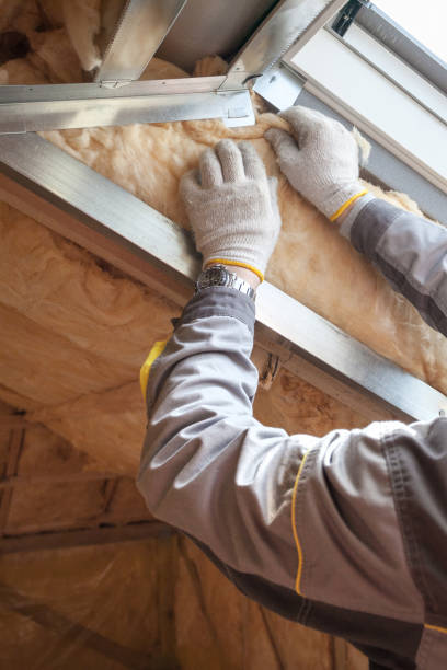 Best Basement Insulation  in Minonk, IL